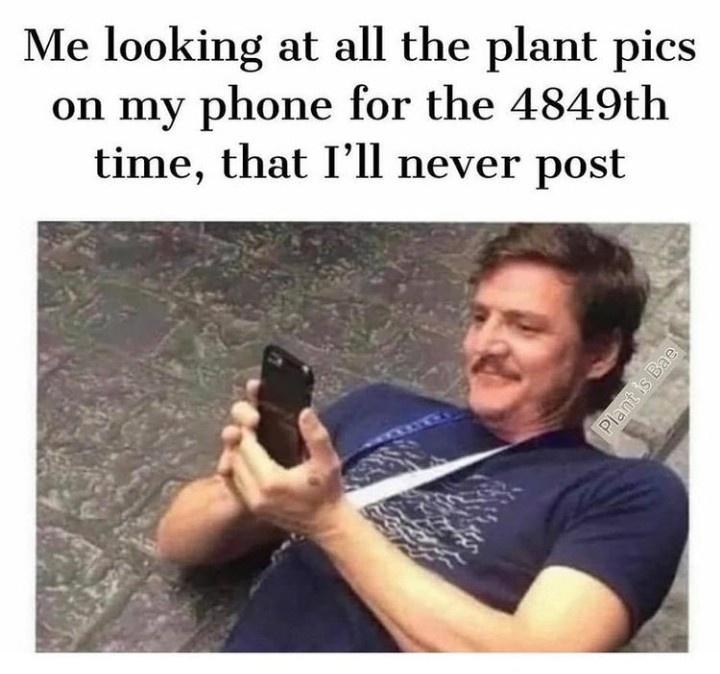 botanicalmemes_002