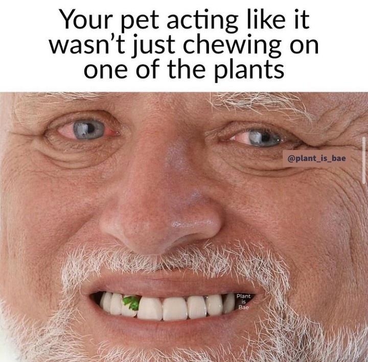 botanicalmemes_004