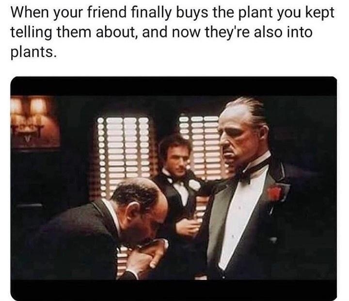 botanicalmemes_015