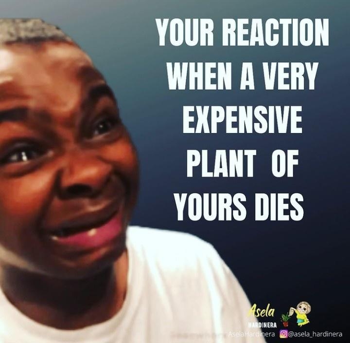 botanicalmemes_022