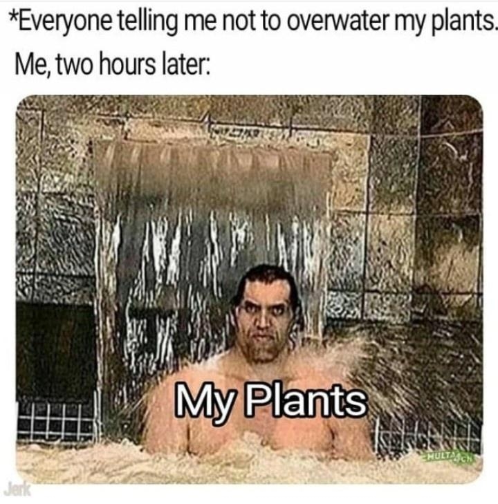 botanicalmemes_023