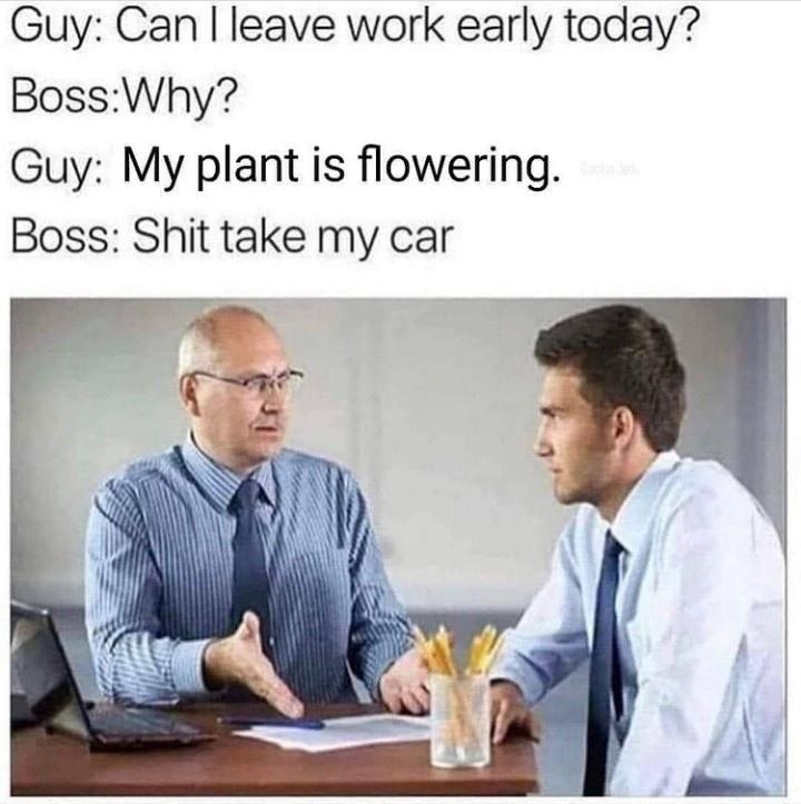 botanicalmemes_024
