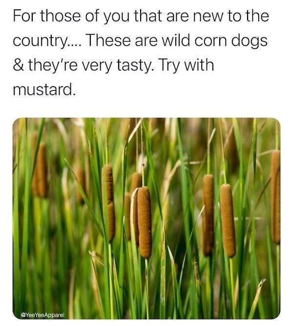countrymemes3_007