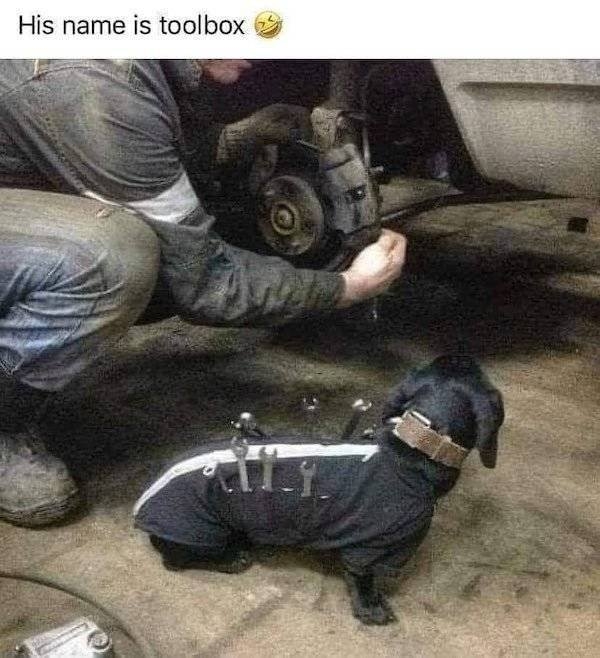 countrymemes3_025