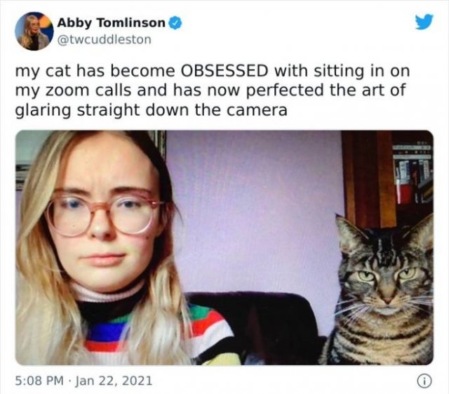 funnycats_032