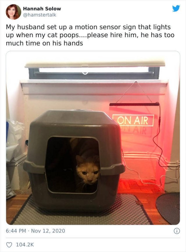funnycats_049