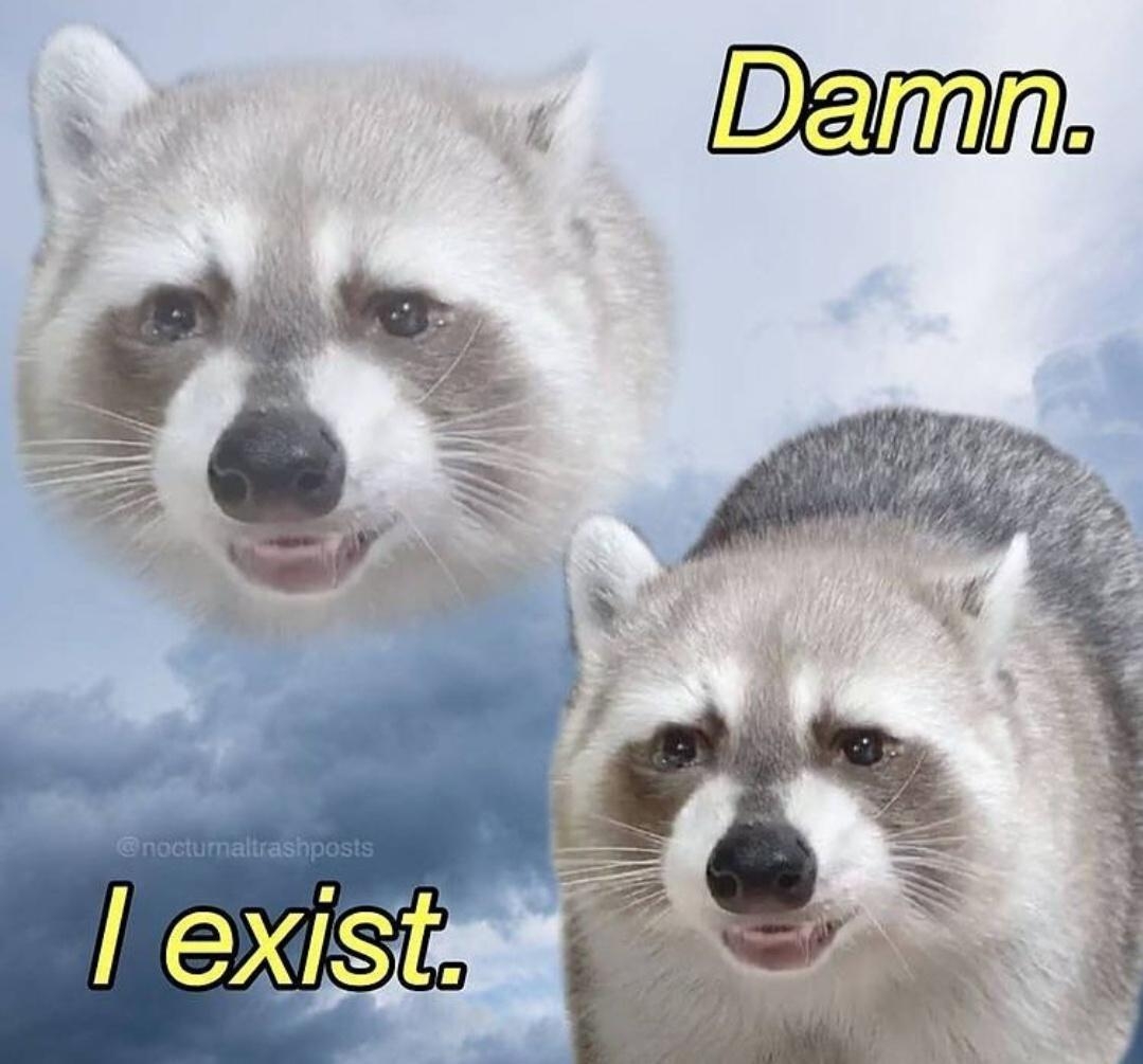 funnymemes30_051