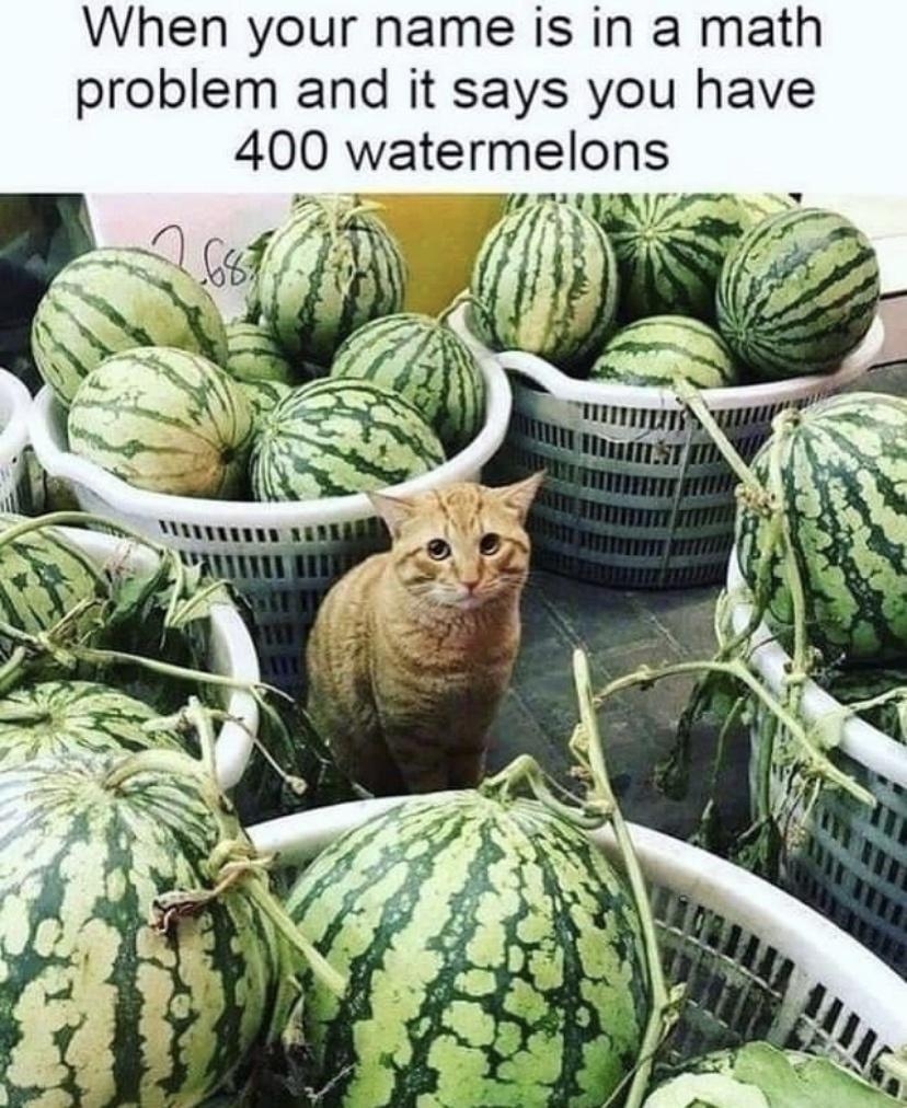 funnymemes34_053