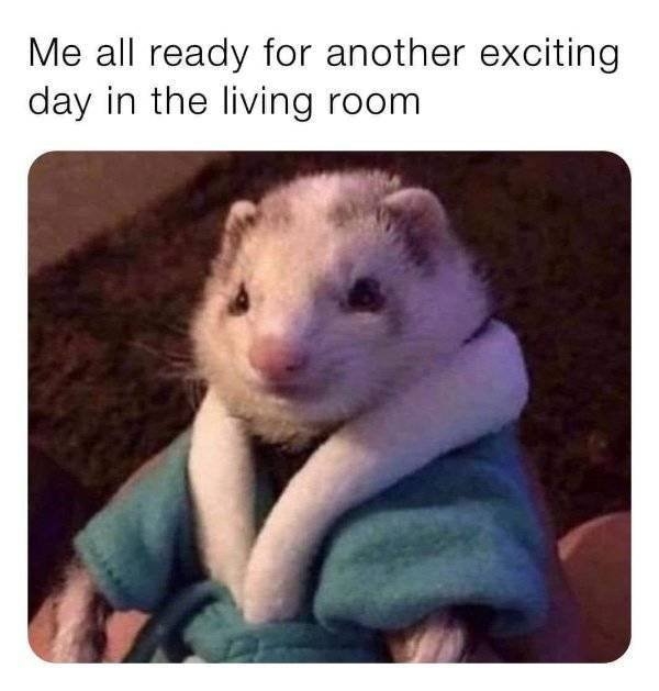 funnymemes38_001