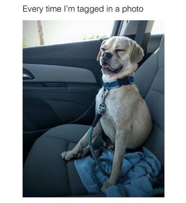 funnymemes38_009