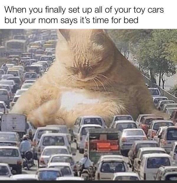 funnymemes38_015