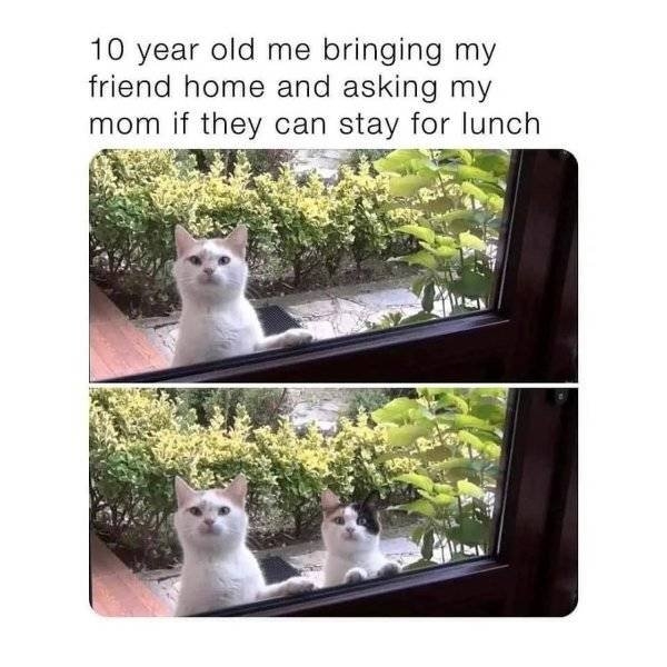 funnymemes38_019