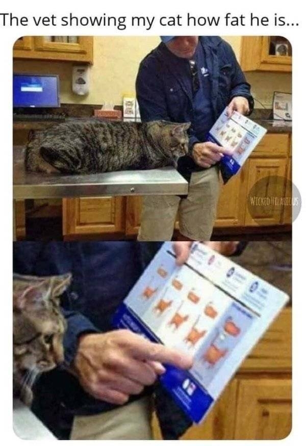 funnymemes38_024