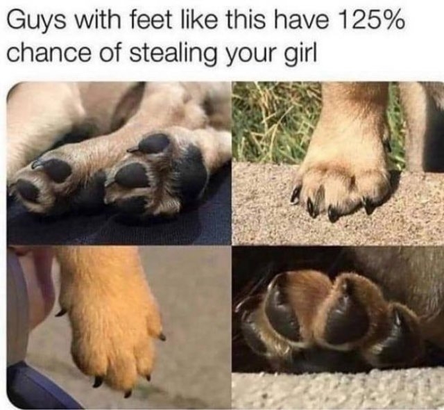 funnymemes38_033