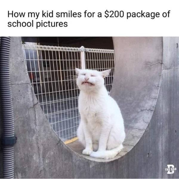 funnymemes38_041