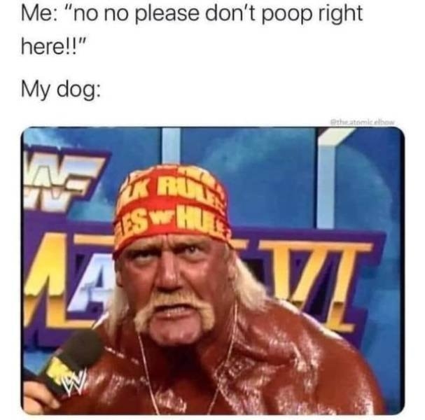 funnymemes38_044