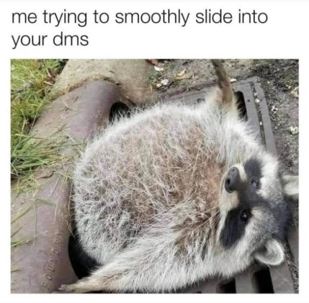 funnymemes38_048