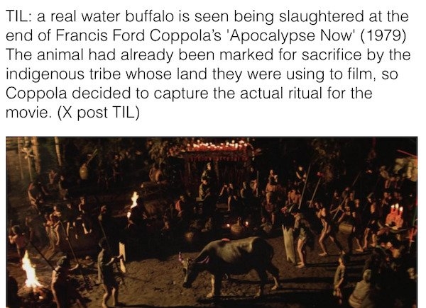 hiddenmoviegems3_001