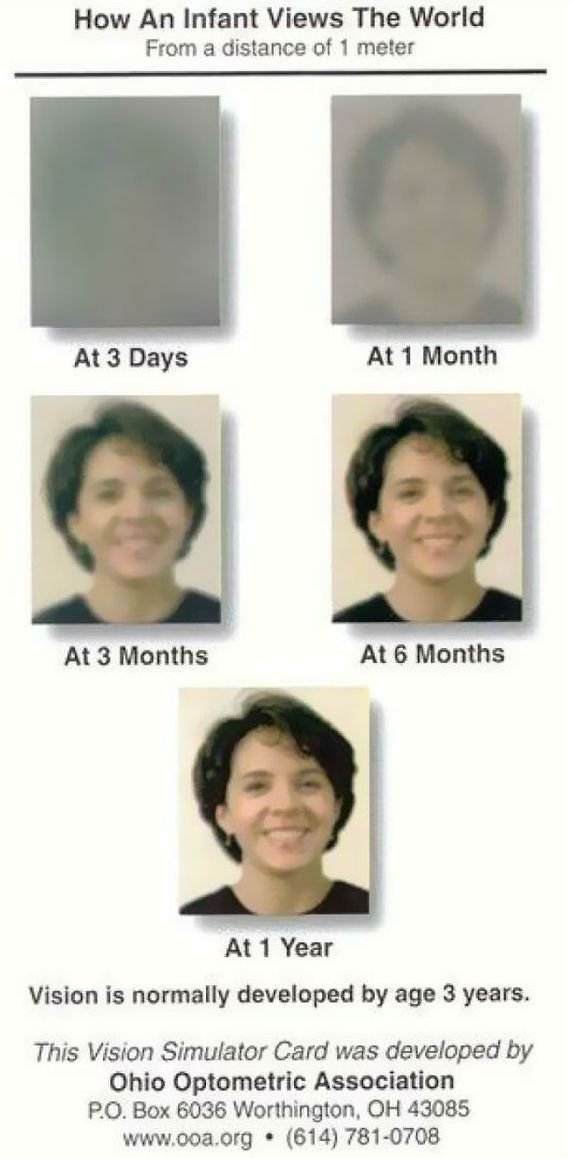 interestingdata6_020