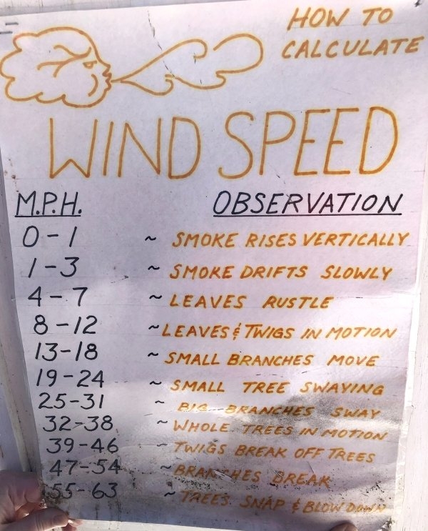 interestingdata7_007