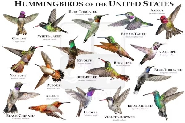 interestingdata7_022