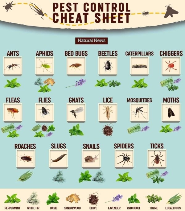 interestingdata8_003