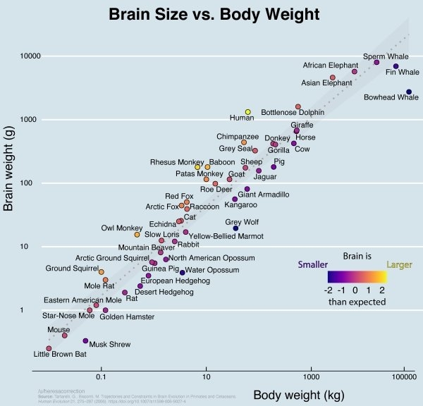 interestingdata8_006