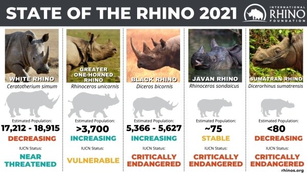 interestingdata8_020