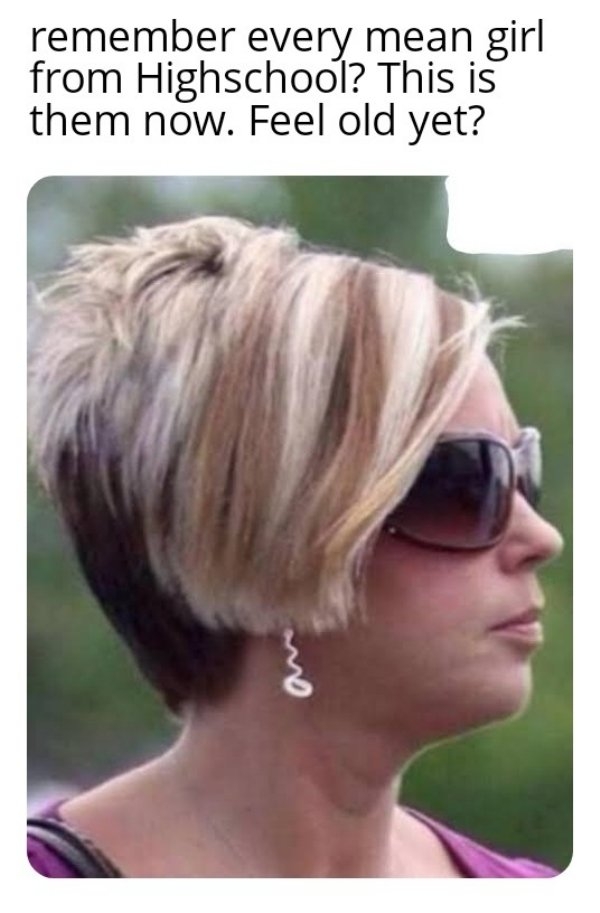 karenmemes_005