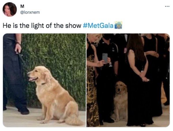 metgalaroasts_011