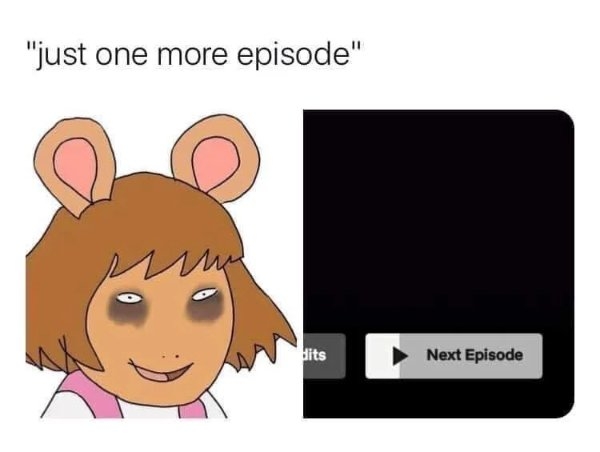 netflixmemes_013