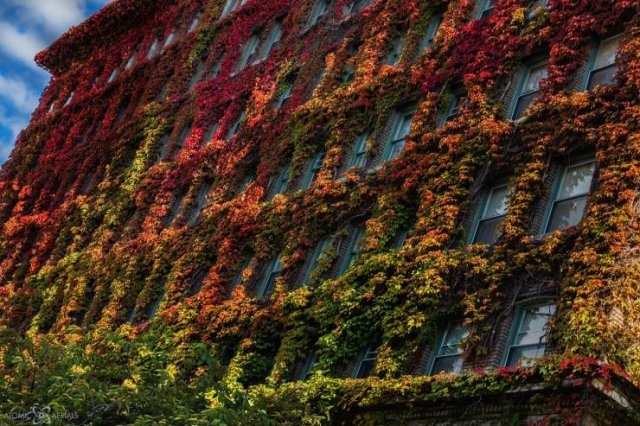 randompics399_072