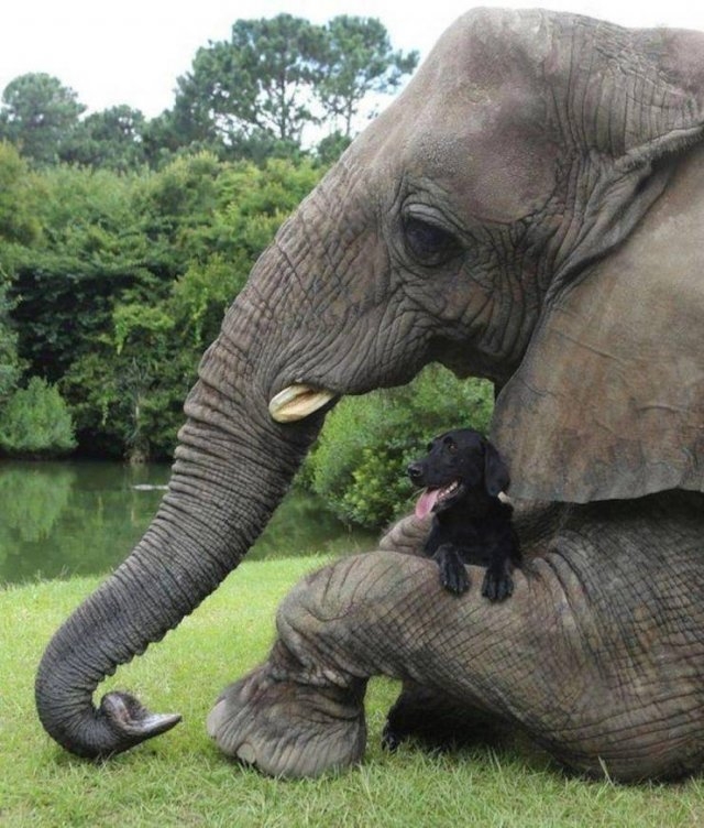 randompics412_060