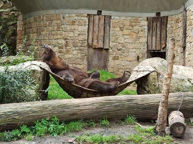 randompics416_029