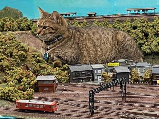 randompics416_068