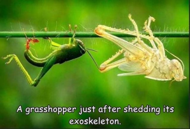 randompics417_075