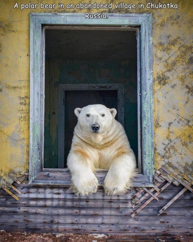 randompics420_046