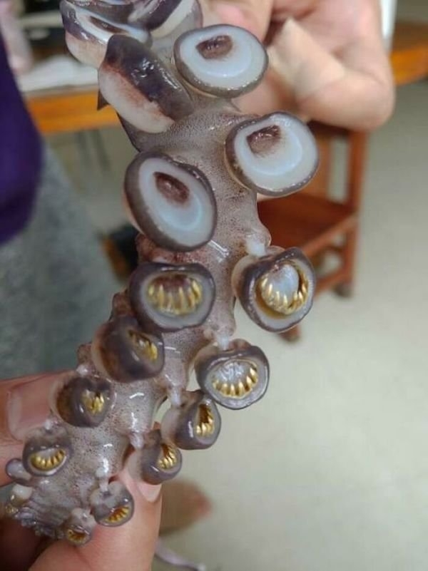 scarypictures_015