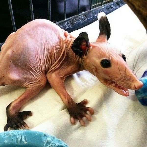 scarypictures_017