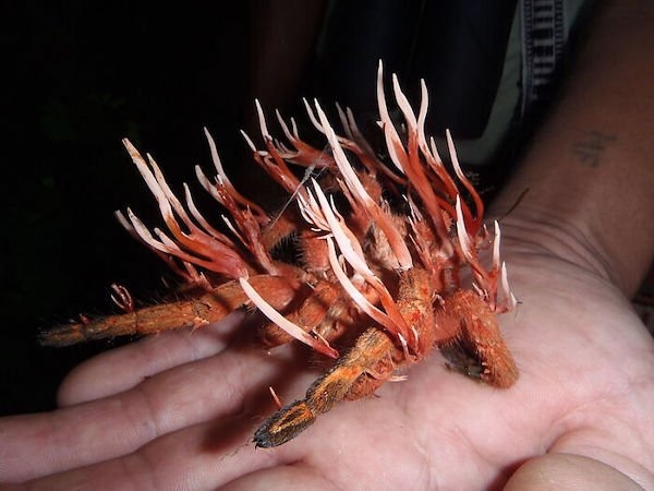 scarypictures_027