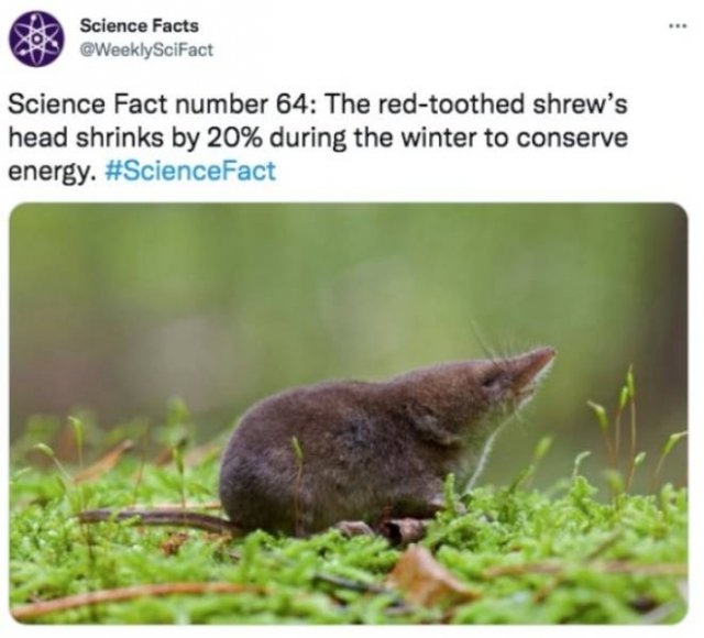 sciencefacts_003