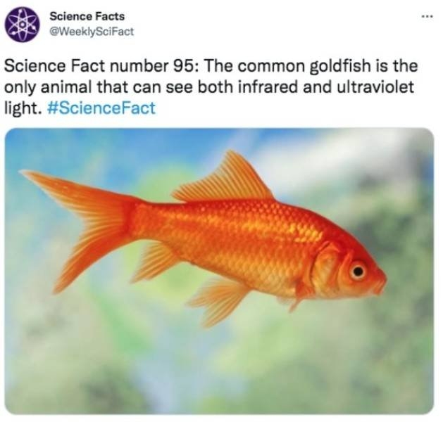 sciencefacts_004