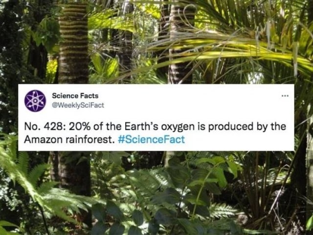 sciencefacts_013
