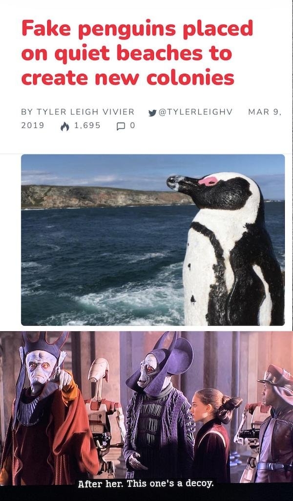 starwarsmemes3_046