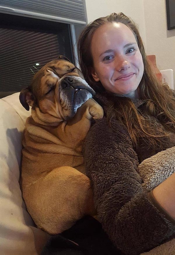bulldogs_018