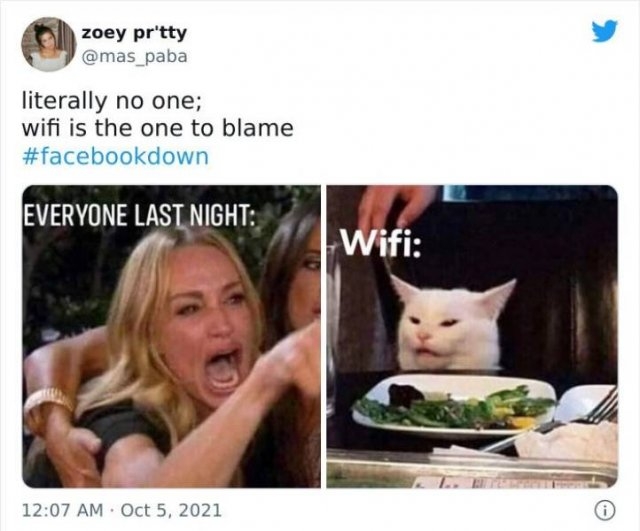 facebookinstagramdownmemes_006