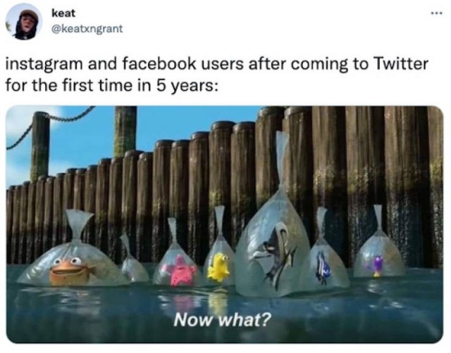 facebookinstagramdownmemes_007