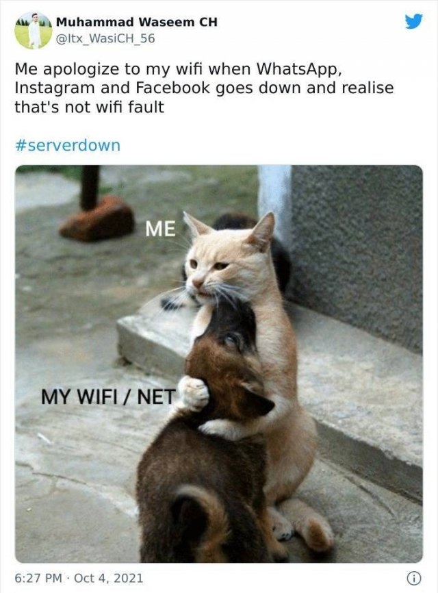 facebookinstagramdownmemes_012