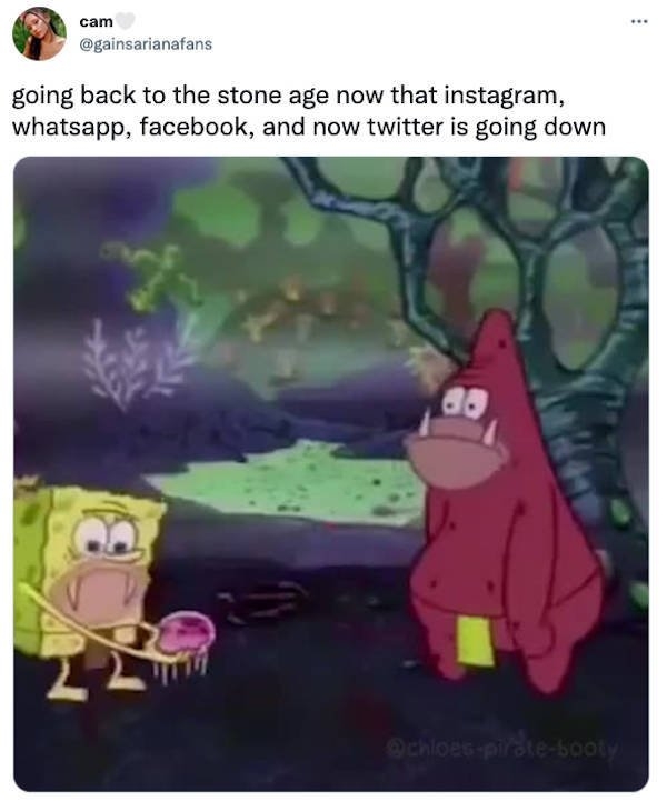 facebookinstagramdownmemes_034