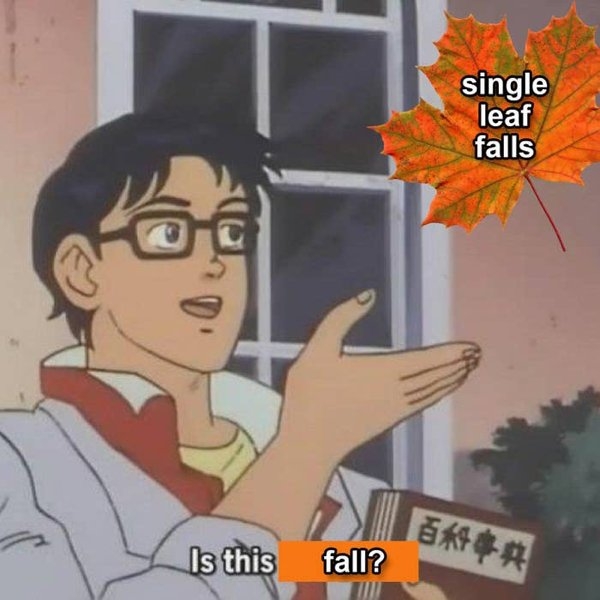 fallmemes_006